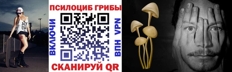 Галлюциногенные грибы Psilocybe  Нязепетровск 